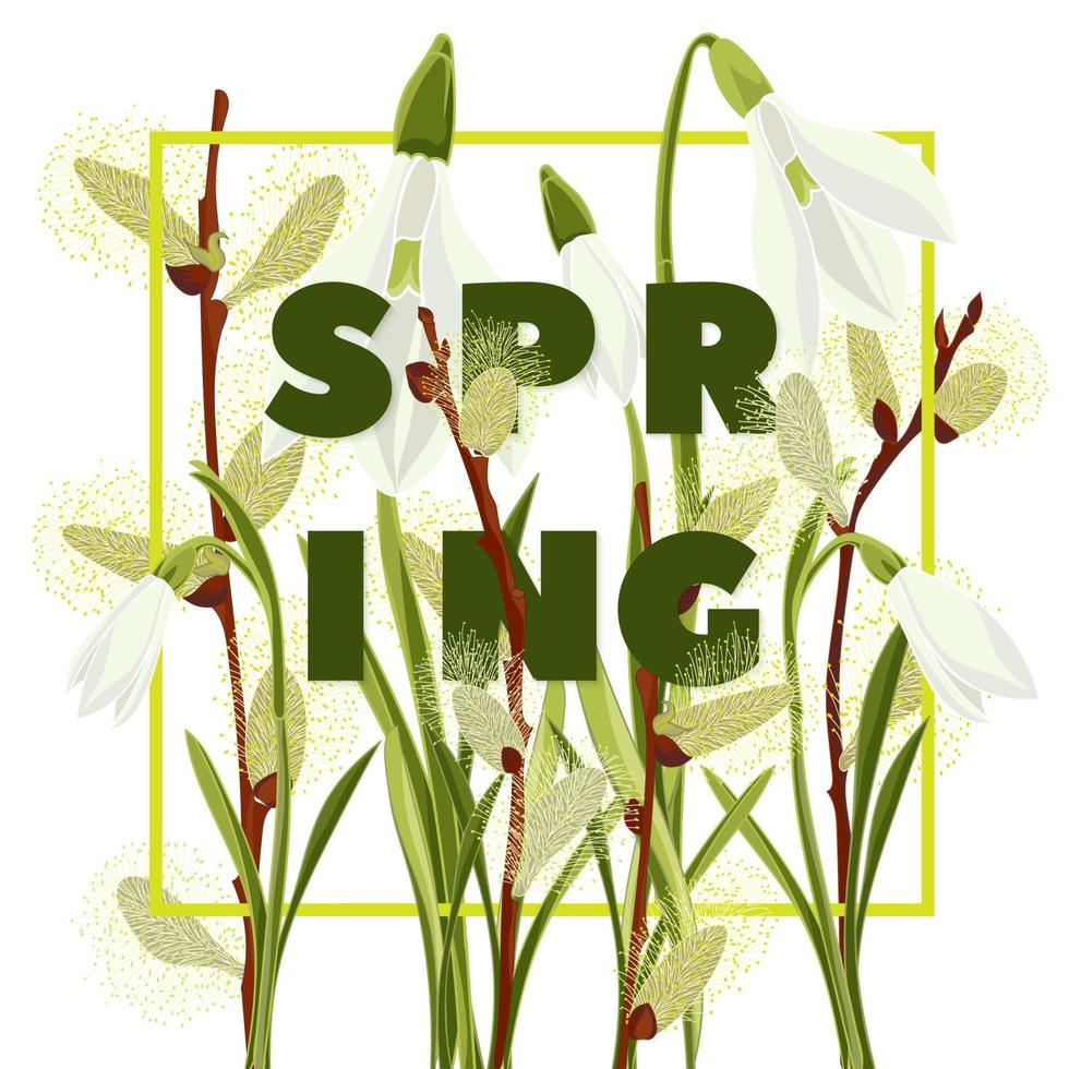 fondo floral de primavera con hermosa campanilla de invierno y flor de sauce vector