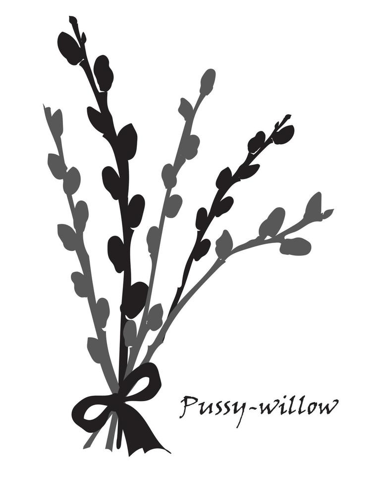 Abstract texture with pussy willow bouquet vector