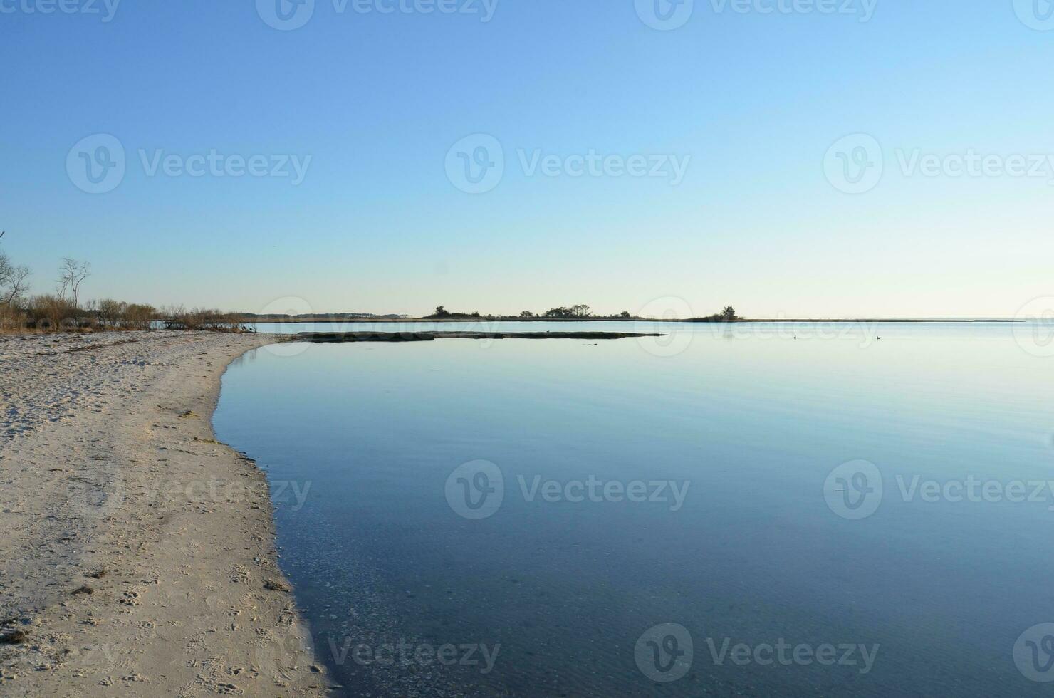 a lake or river with brown grasses and shore with sand photo