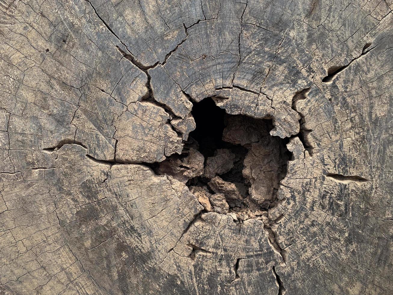 The old timber texture surface has holes and cracks. photo