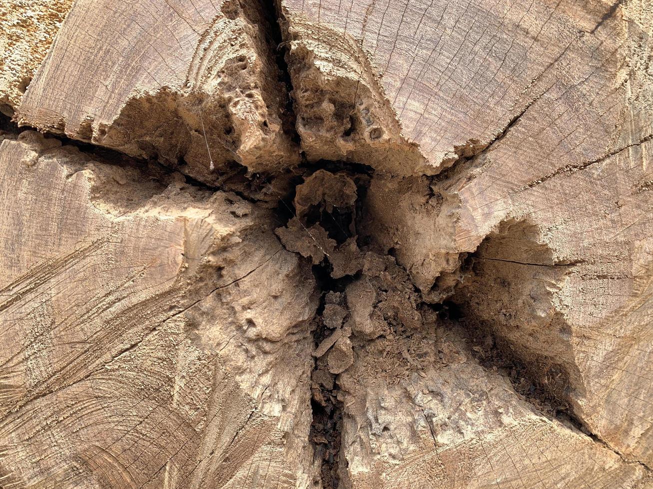 la vieja superficie de textura de madera tiene agujeros y grietas. foto