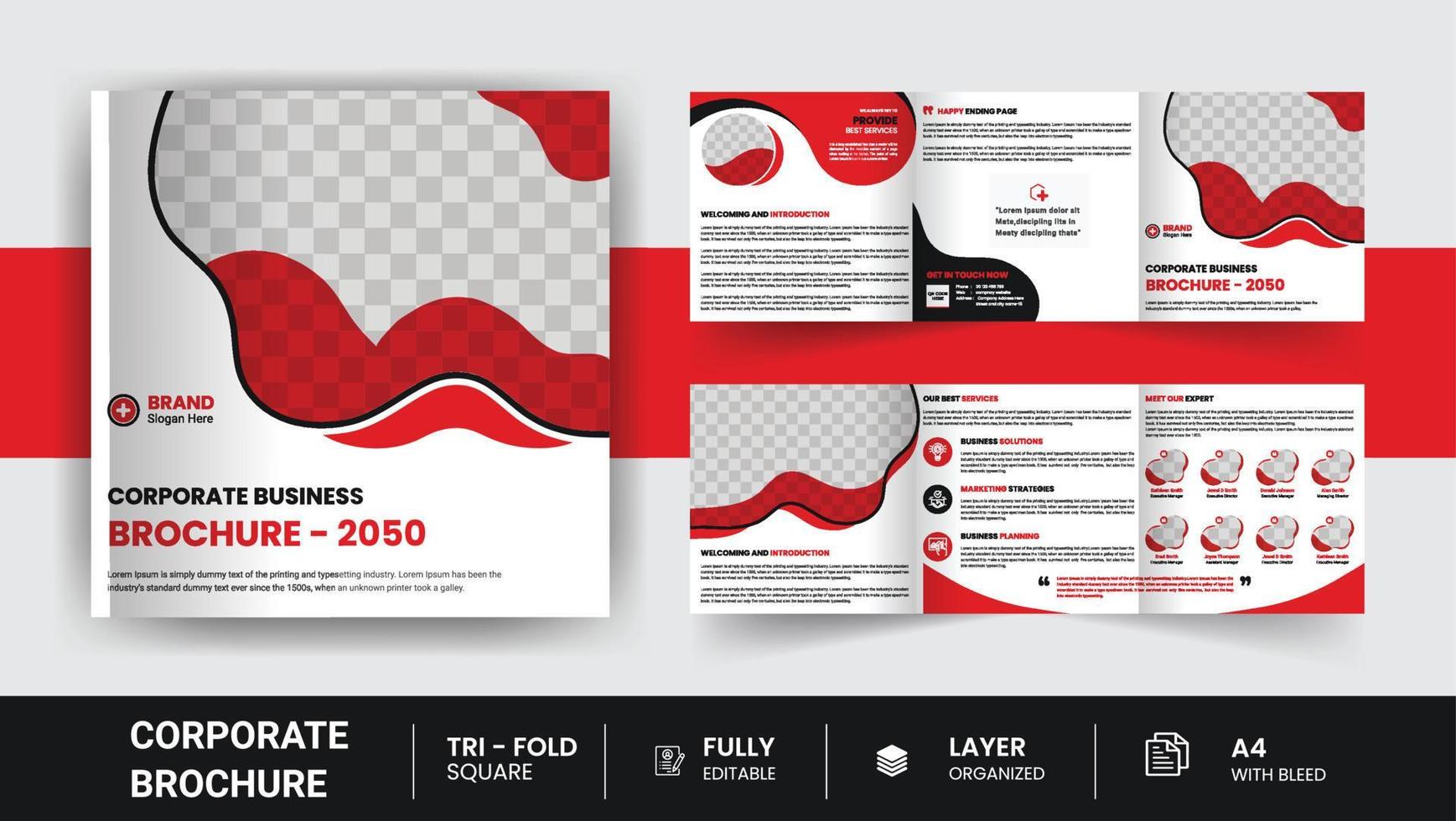 Corporate company profile square tri fold healthcare Business brochure design minimal and modern vector