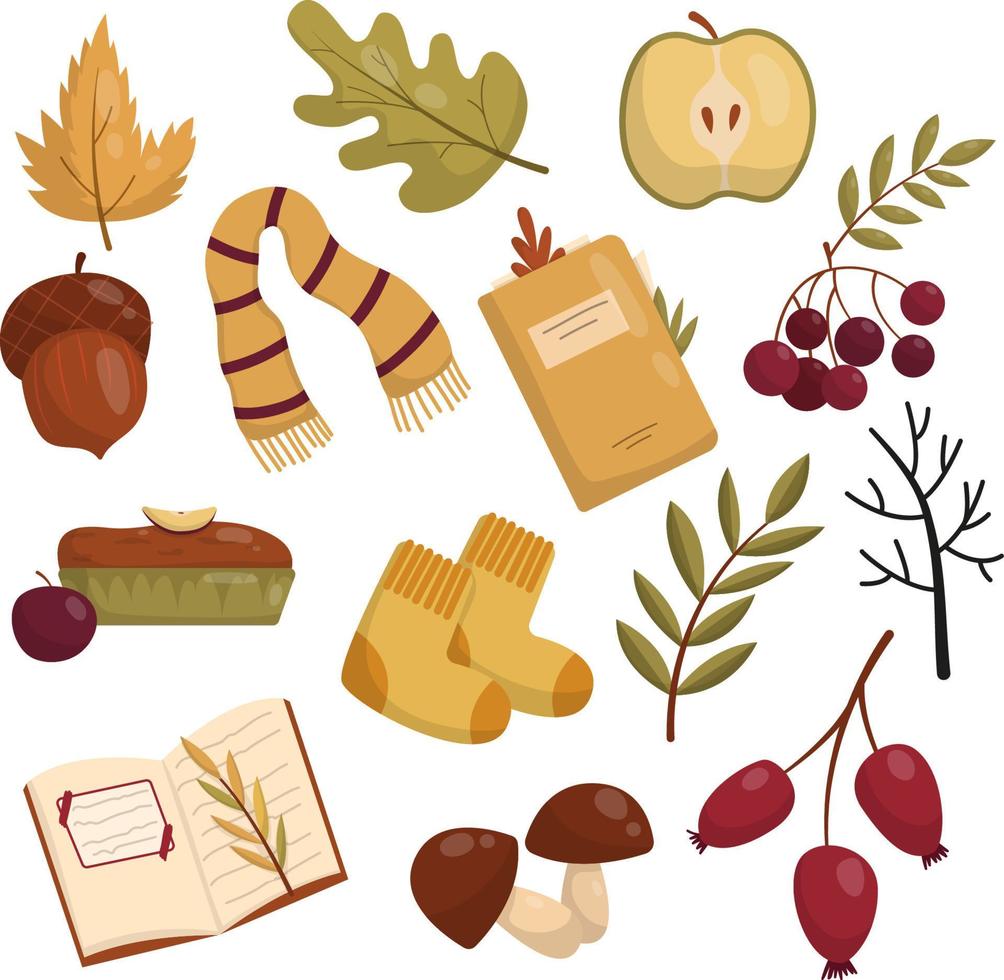 Autumn vector set with leaves and things