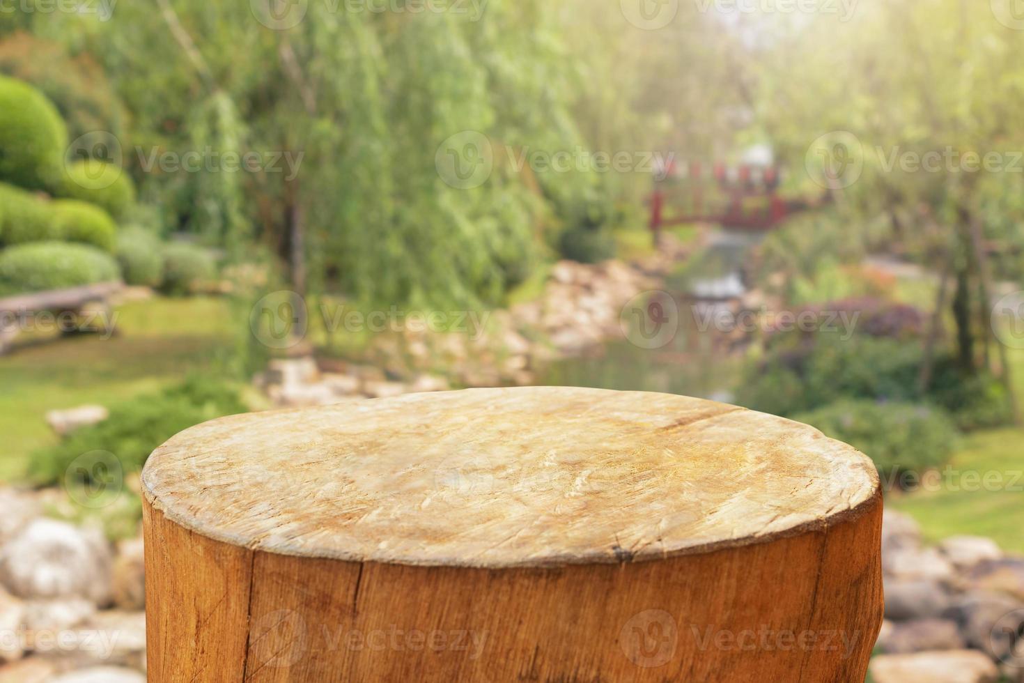 tree stump top with garden blurred background photo