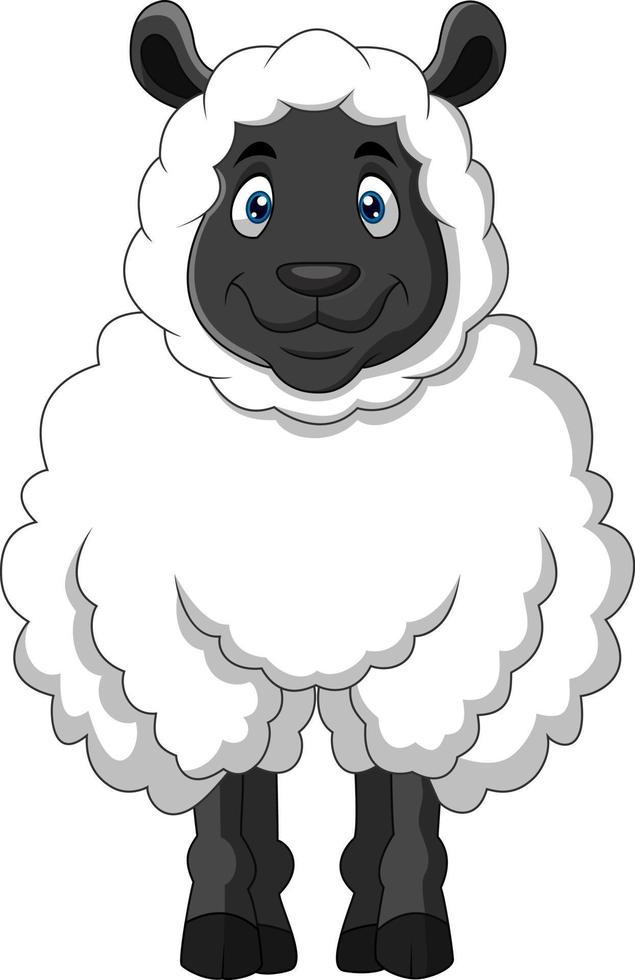 Cartoon funny sheep a smile vector
