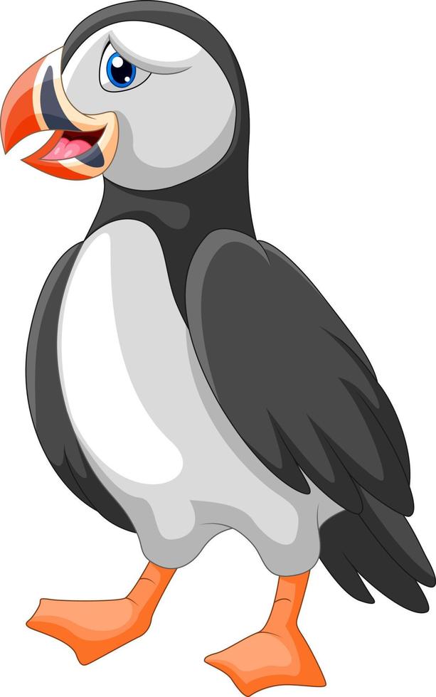 Cute Cartoon a puffin bird vector