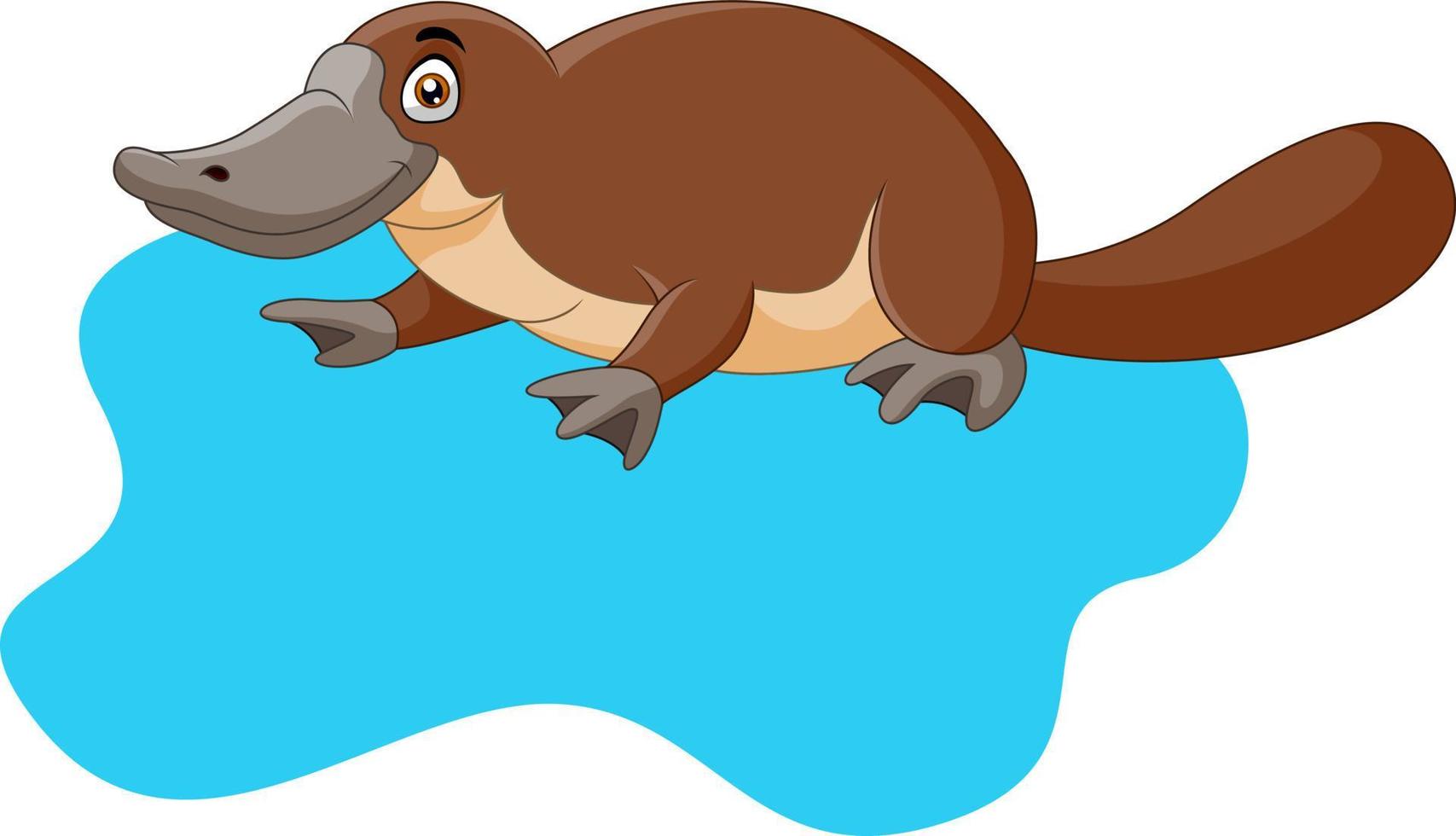 Cute cartoon platypus on water vector