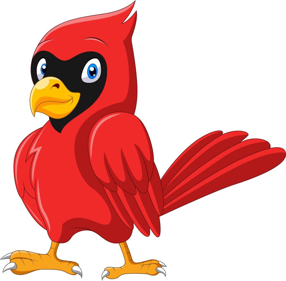 lindo pájaro cardenal hermoso de dibujos animados vector