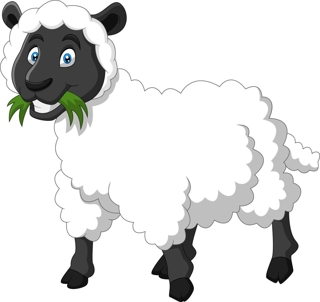 Cartoon funny sheep a smile vector