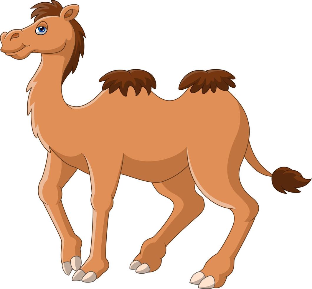 Cartoon funny camel smile and standing vector