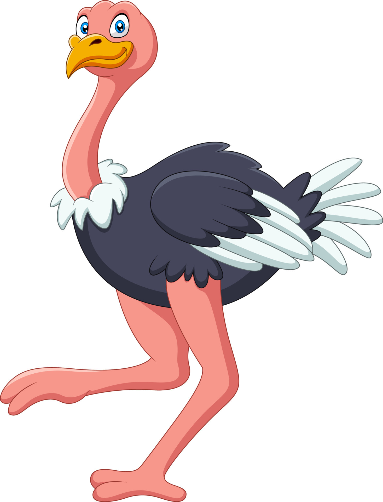 A cute cartoon ostrich stands 12805492 Vector Art at Vecteezy A cute cartoon ostrich stands 12805492 Vector Art at Vecteezy