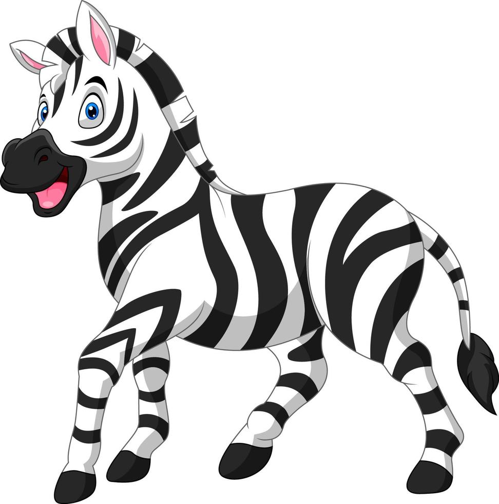 Cute cartoon funny zebra stand vector