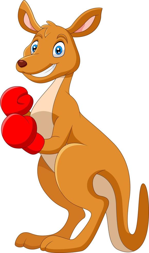 Cartoon Kangaroo wears boxing gloves vector