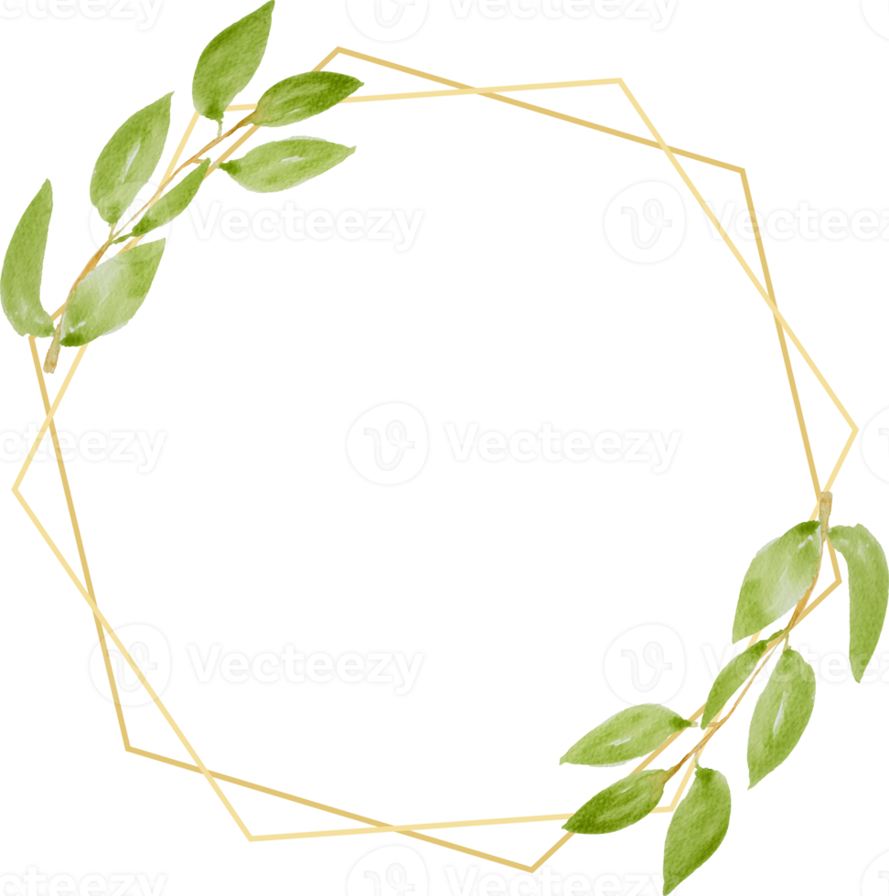 waterverf botanisch hand- tekening groen doorbladert krans met gouden kader png