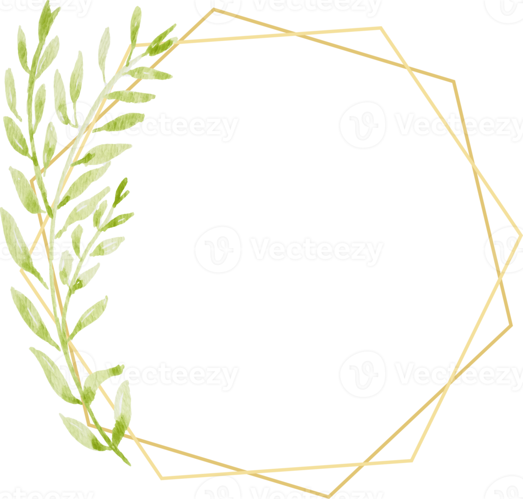 watercolor botanical hand drawing green leafs wreath with golden frame png