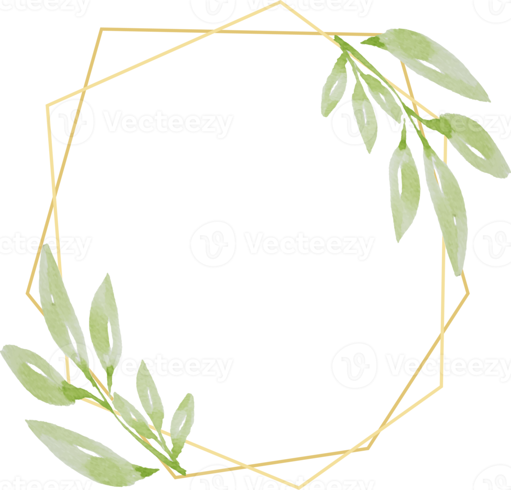 watercolor botanical hand drawing green leafs wreath with golden frame png