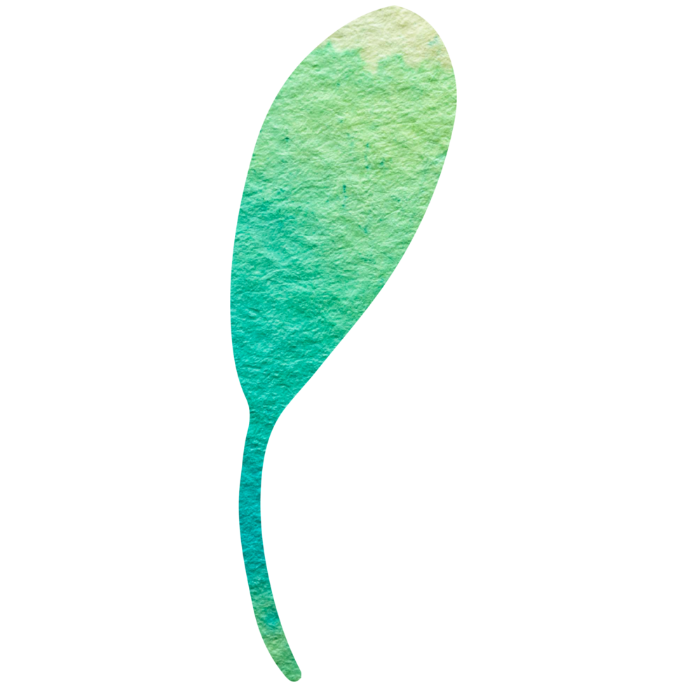 Watercolor simple green leaf. Transparent PNG clipart for design