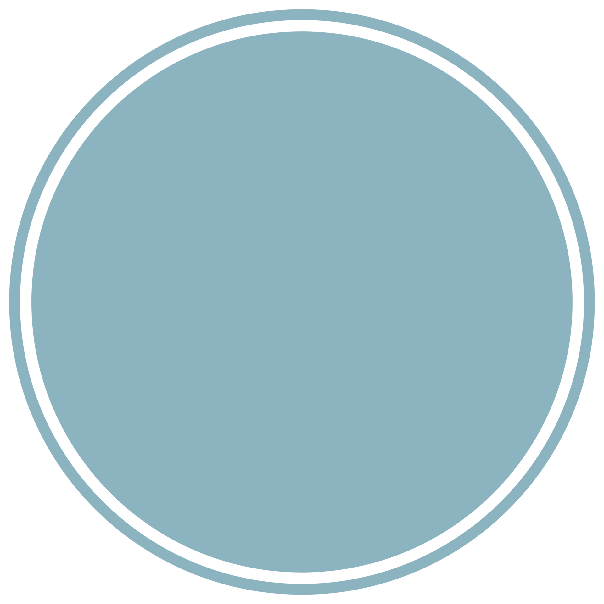 Light Blue Circle Outline