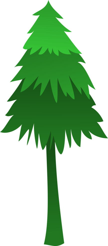 árbol de pino png