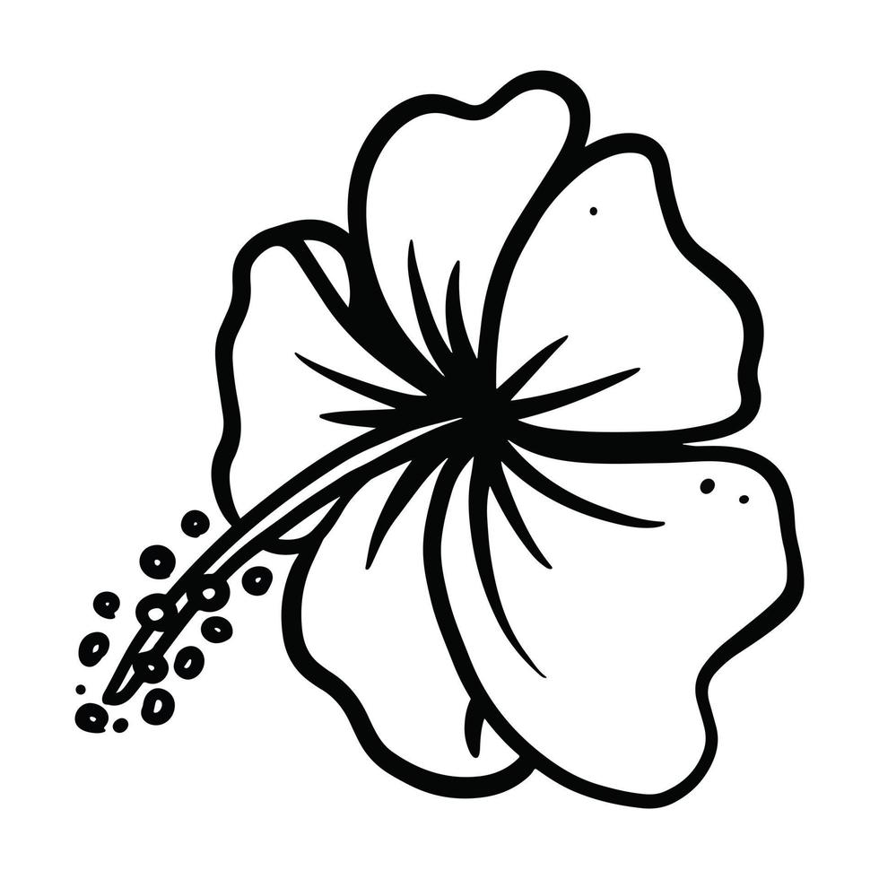 ilustración de flor de hibisco dibujada a mano para el elemento de diseño. vector