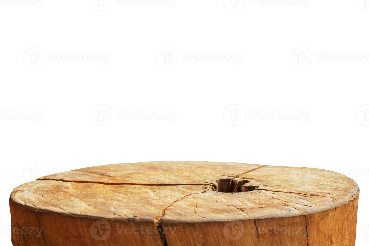 tree stump isolated on white background photo