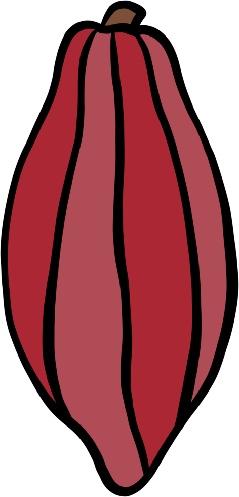 doodle freehand sketch drawing of cacao fruit. png