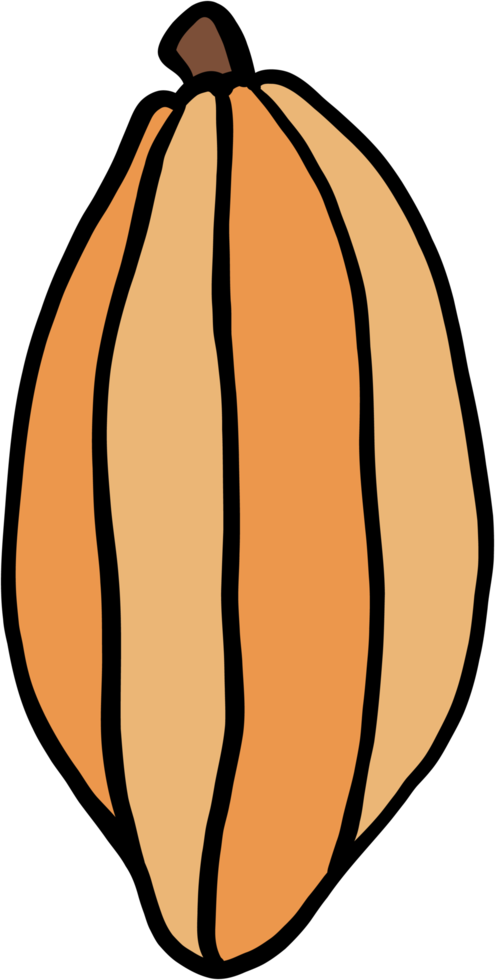 Doodle dibujo a mano alzada de fruta de cacao. png