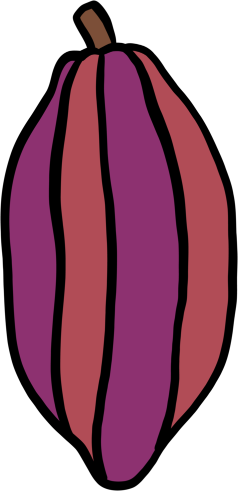 doodle uit de vrije hand schets tekening van cacao fruit. png