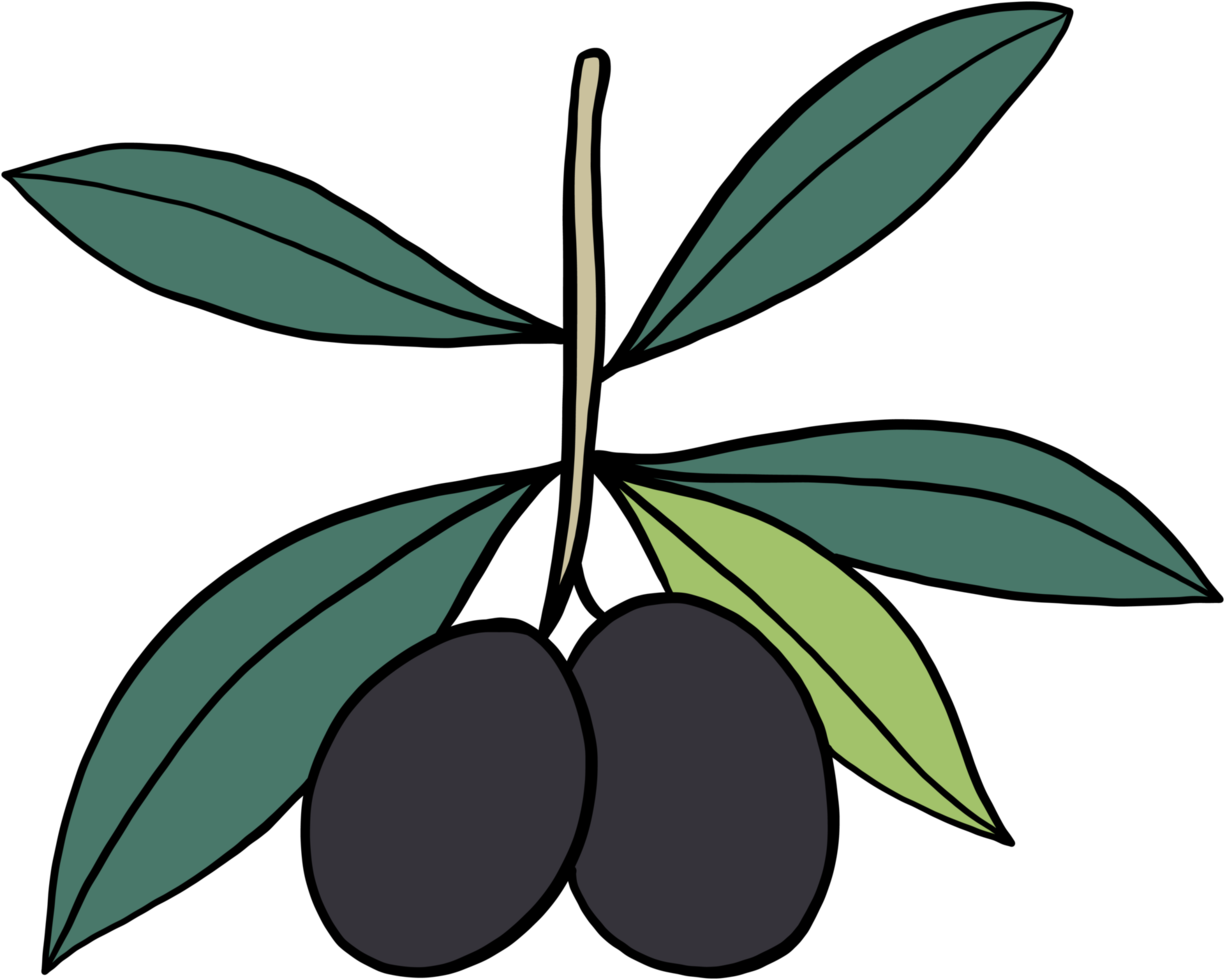 doodle croquis à main levée dessin de fruits d'olive. png