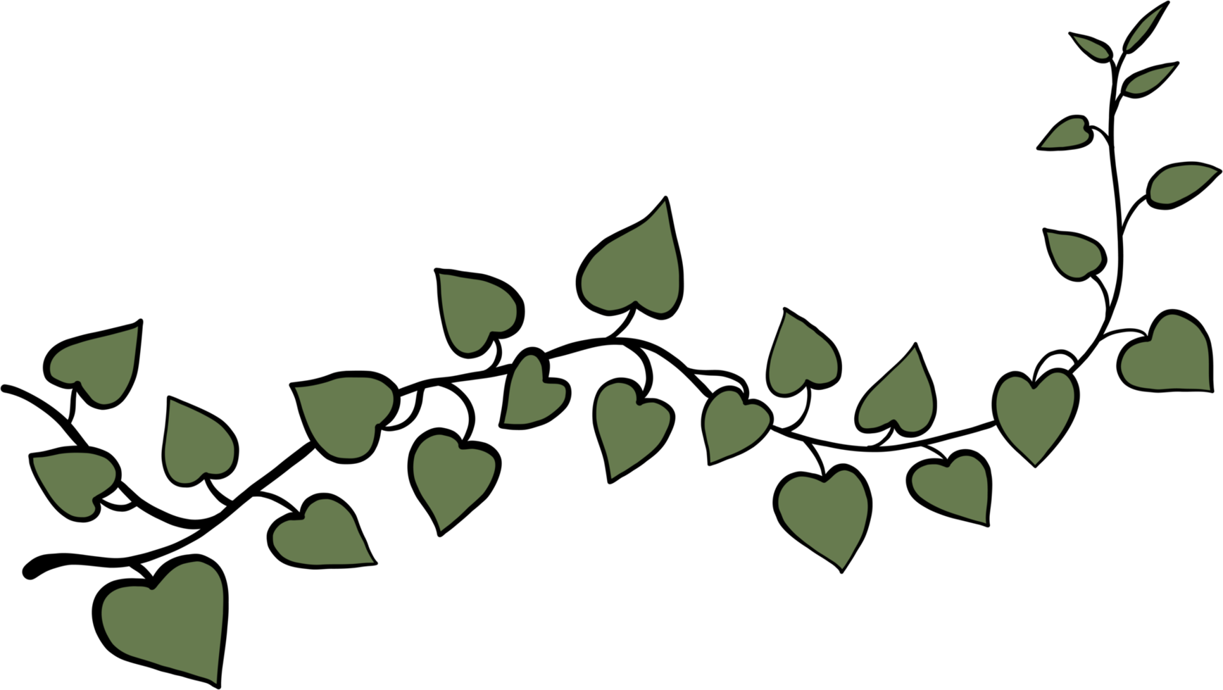 simplicity ivy freehand drawing. png