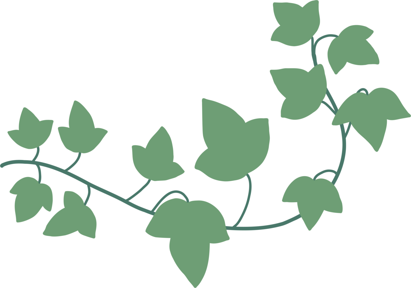 simplicity ivy freehand drawing flat design png