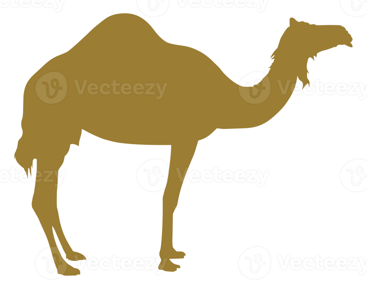 Camel Silhouette for Logo, Pictogram, Art Illustration or Graphic Design Element. Format PNG