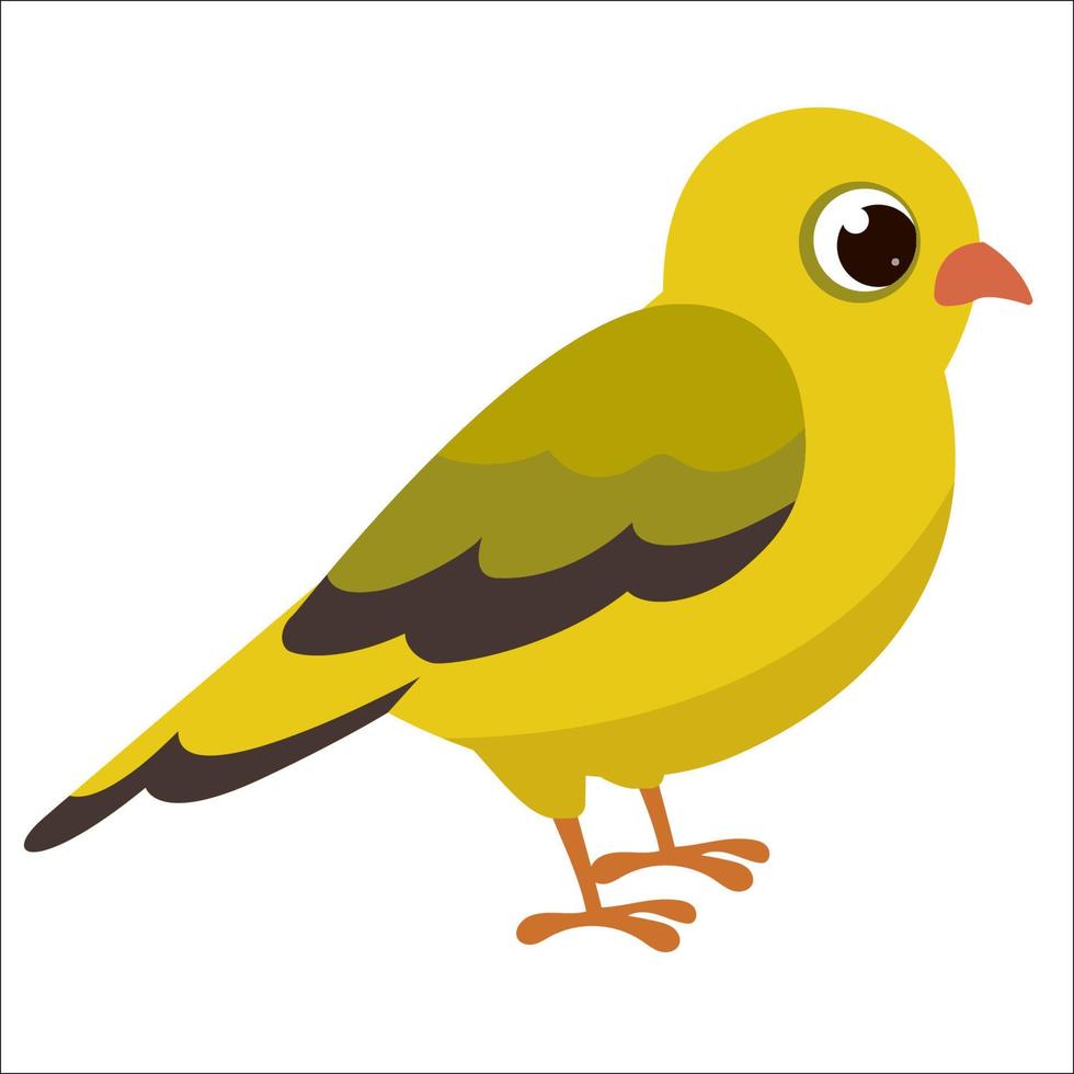 pinzón canario pájaro animal aviar lindo dibujos animados ilustración vector