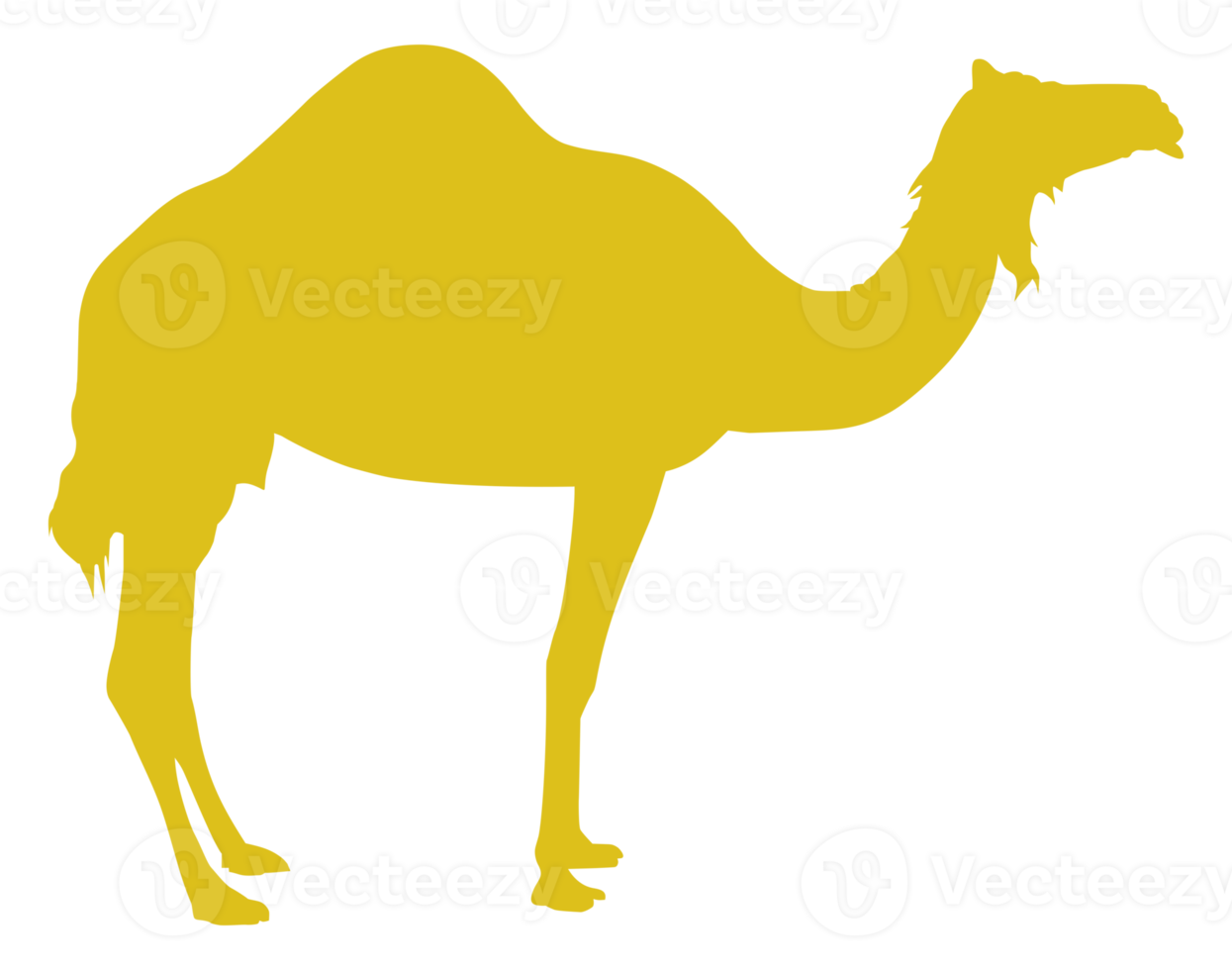 Camel Silhouette for Logo, Pictogram, Art Illustration or Graphic Design Element. Format PNG