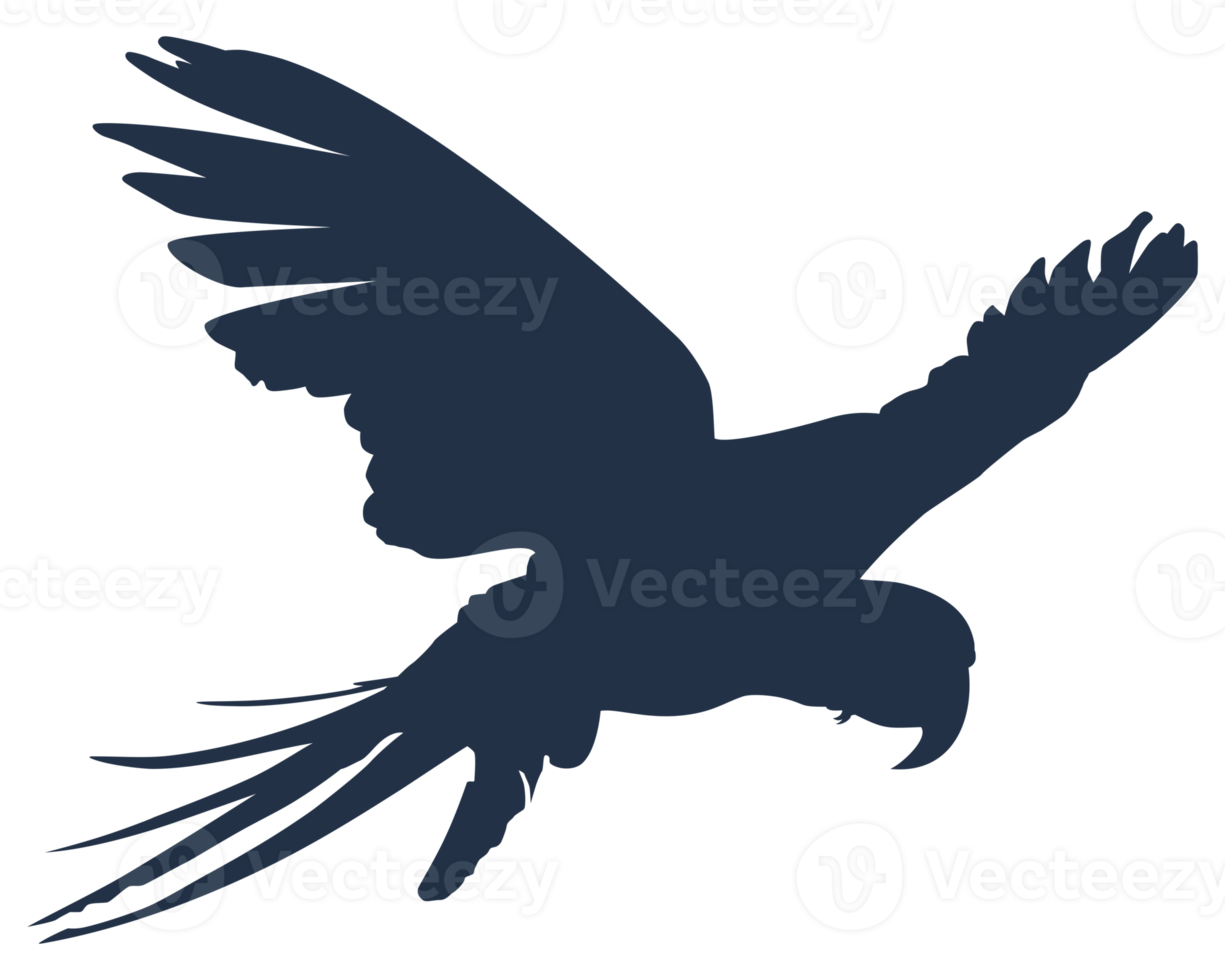 vliegend ara vogel silhouet voor logo, pictogram, kunst illustratie, website of grafisch ontwerp element. formaat PNG