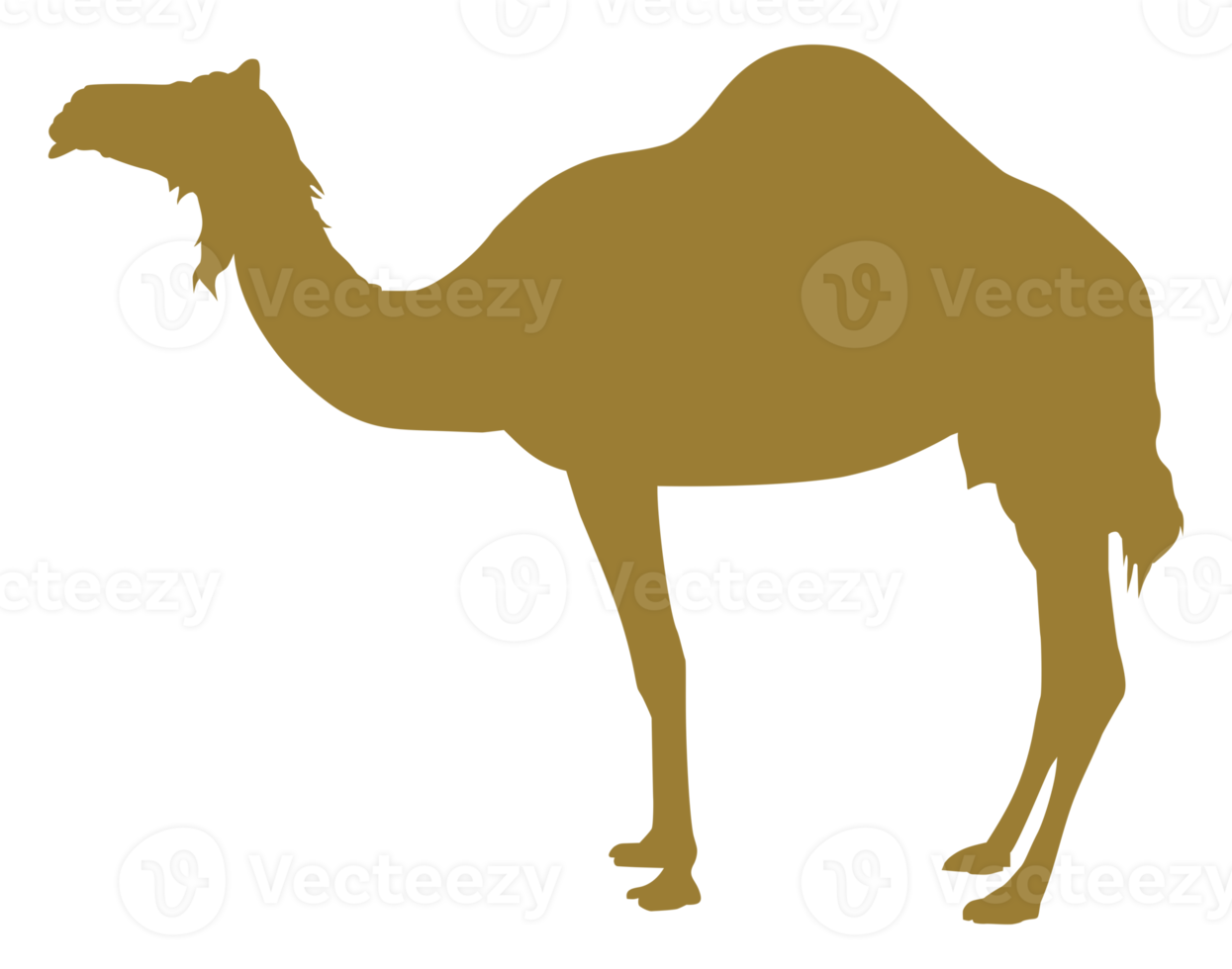 Camel Silhouette for Logo, Pictogram, Art Illustration or Graphic Design Element. Format PNG