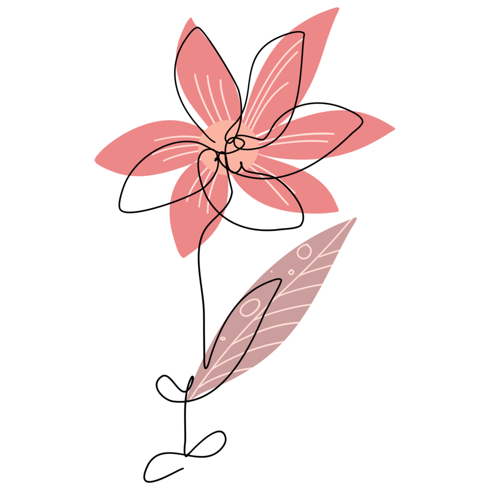 One Line Flower Drawing png