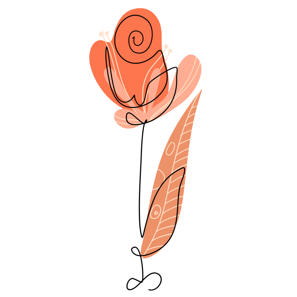 One Line Flower Drawing png