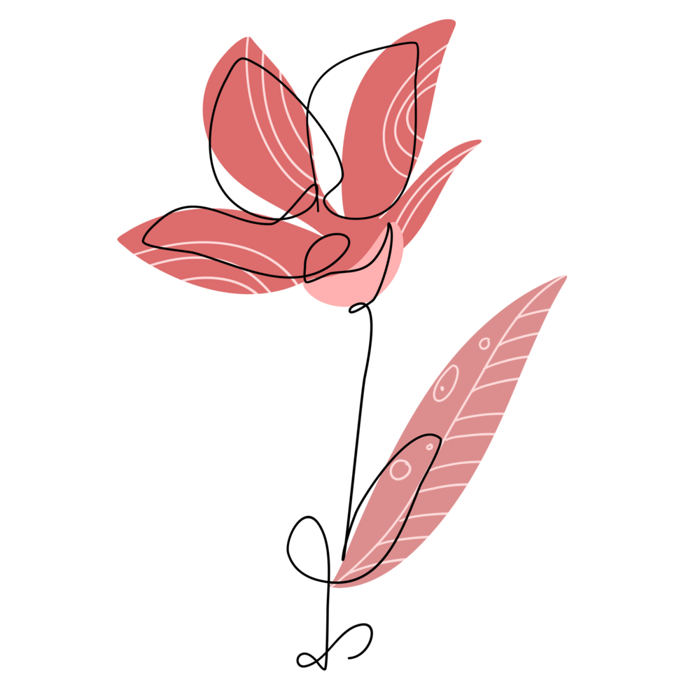 One Line Flower Drawing png