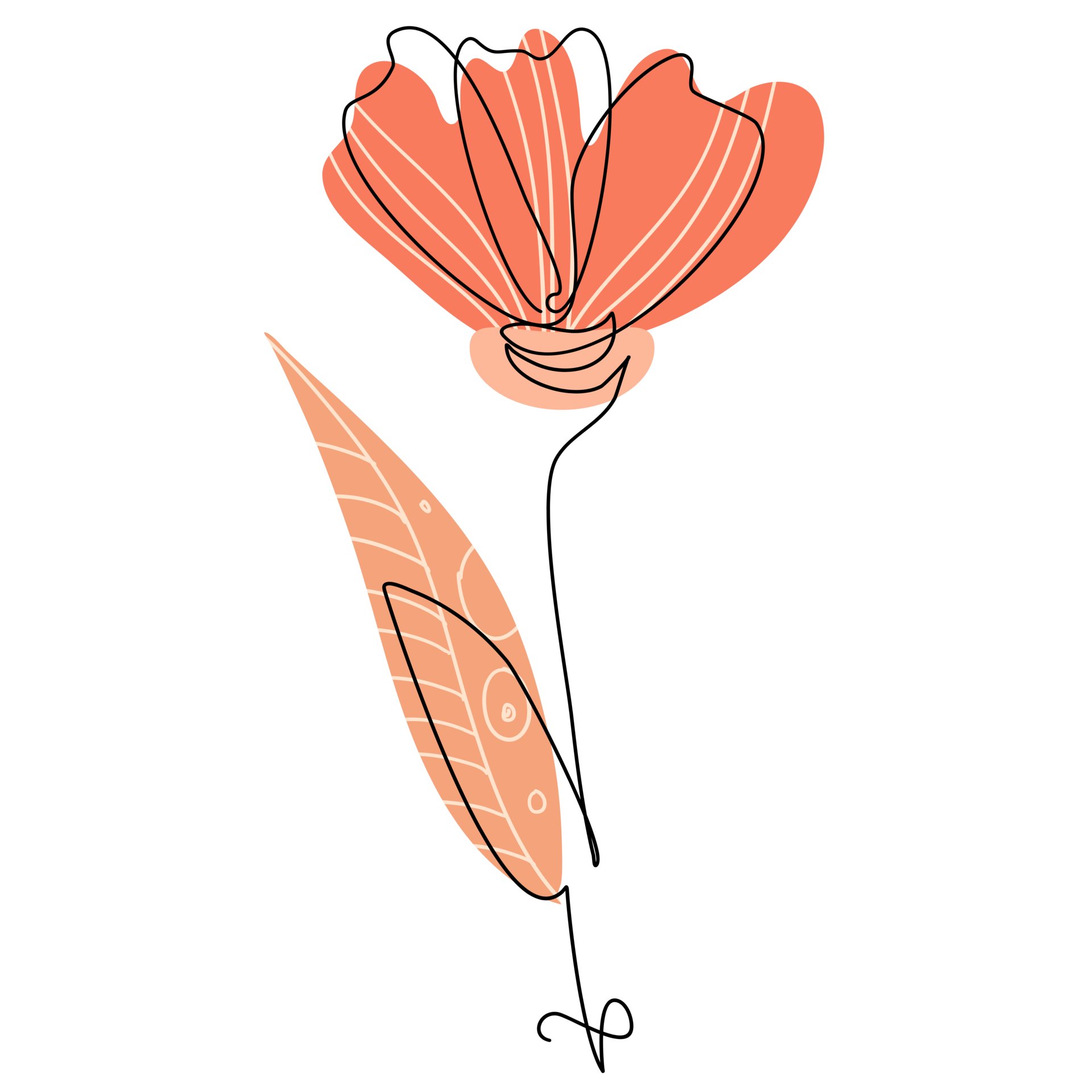 One Line Flower Drawing 12807746 PNG