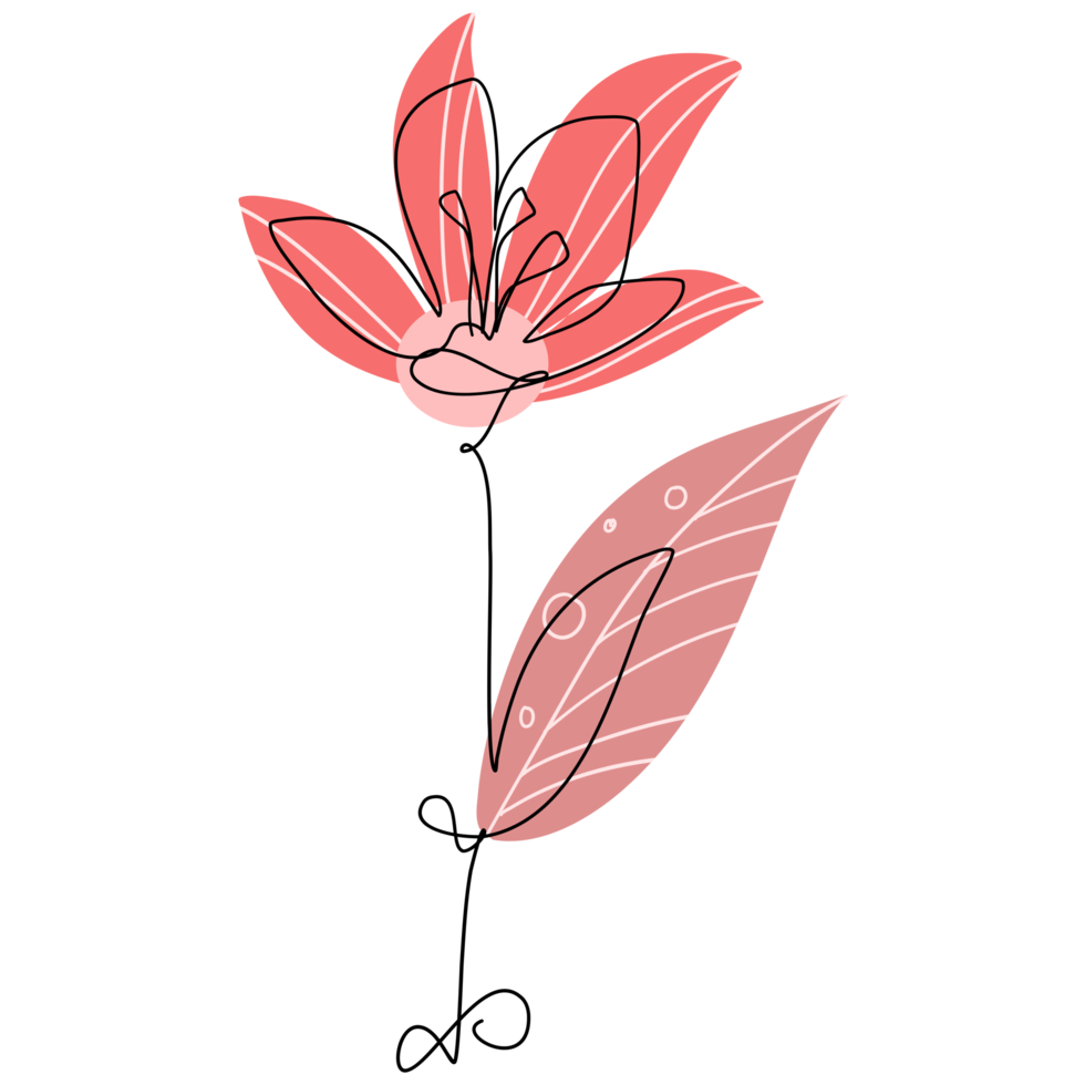 One Line Flower Drawing png