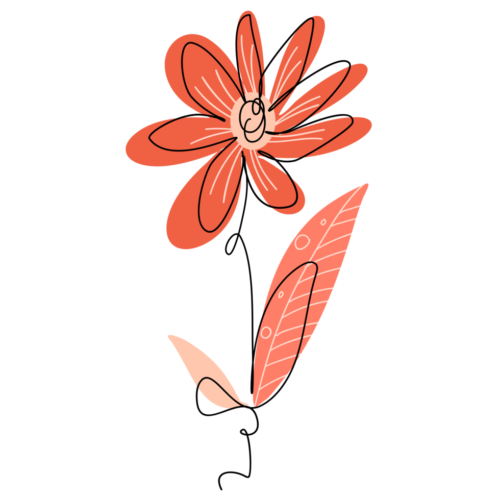 One Line Flower Drawing png