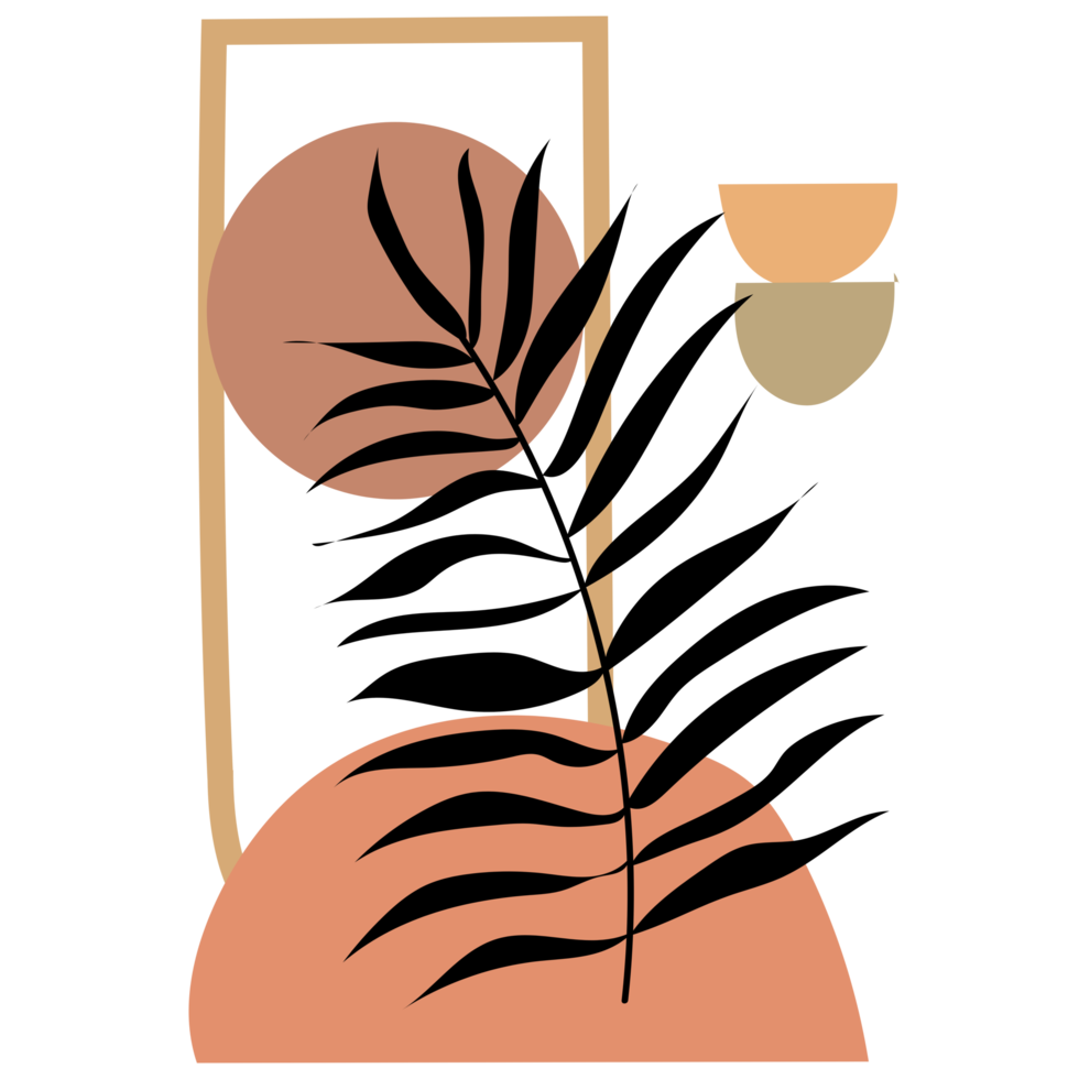 illustration botanique bohème png