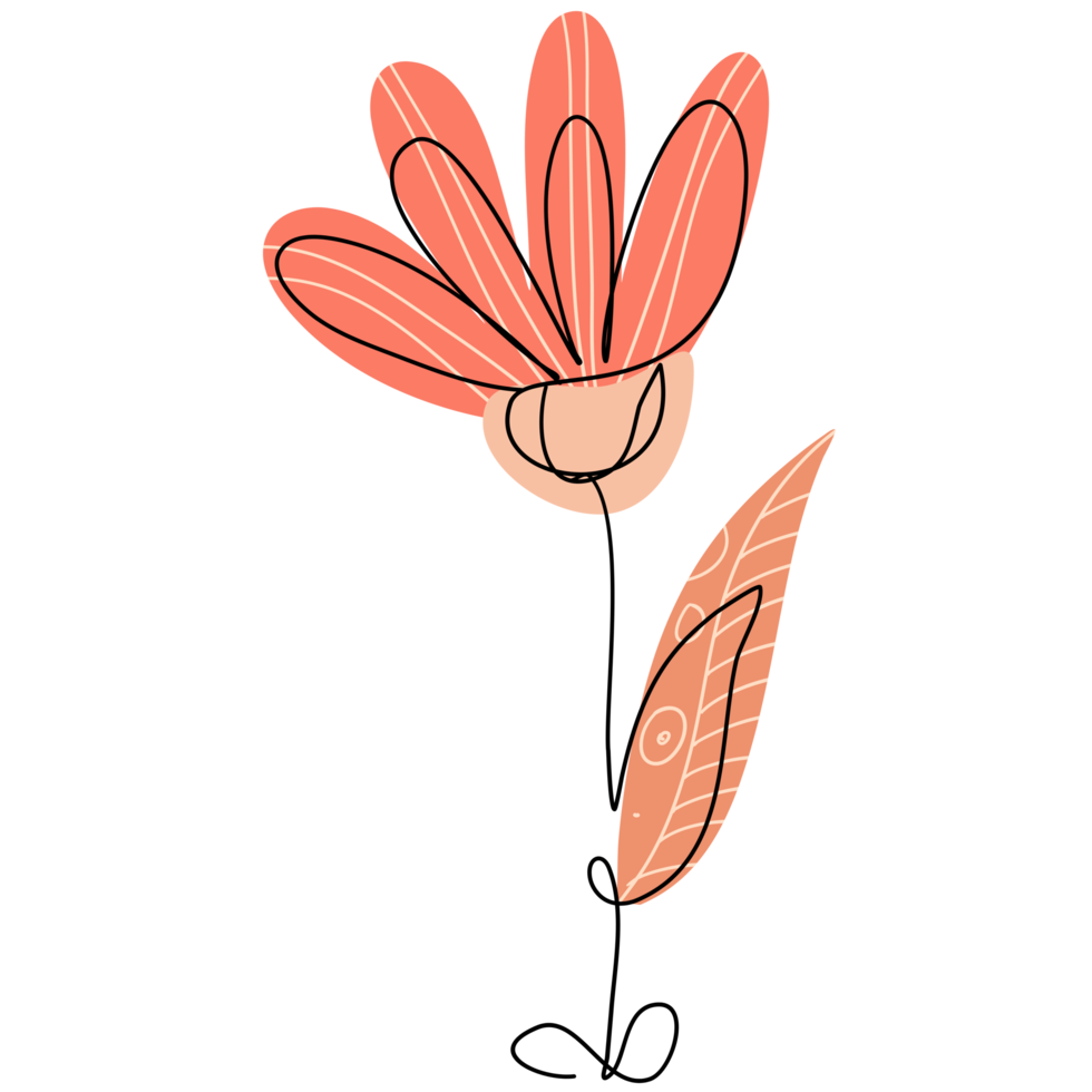 One Line Flower Drawing png