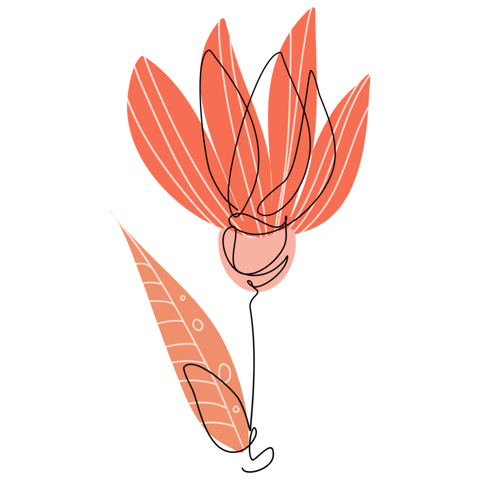 dibujo de flor de una linea png