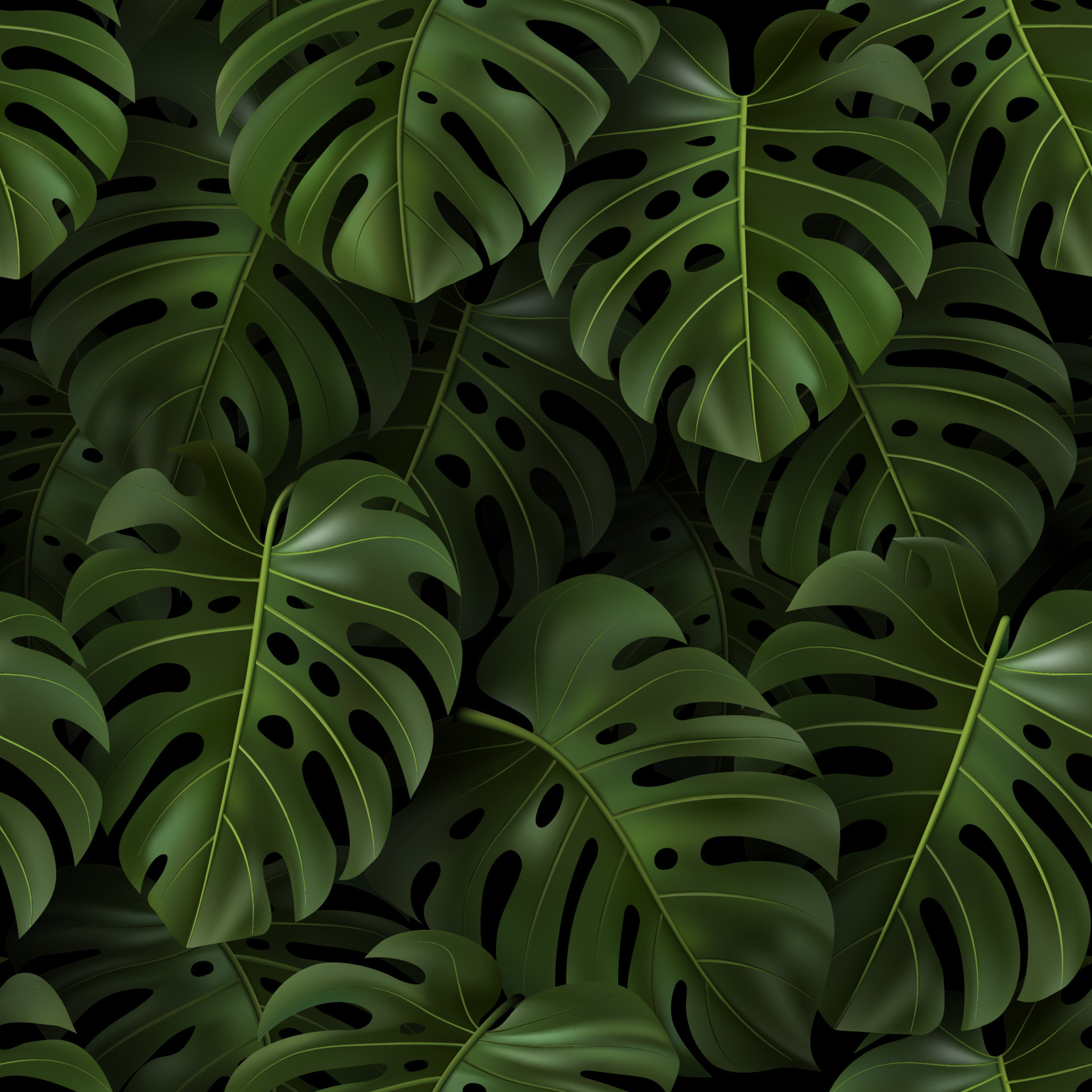 Green design wallpaper with Monstera leaf motif  Hohenberger
