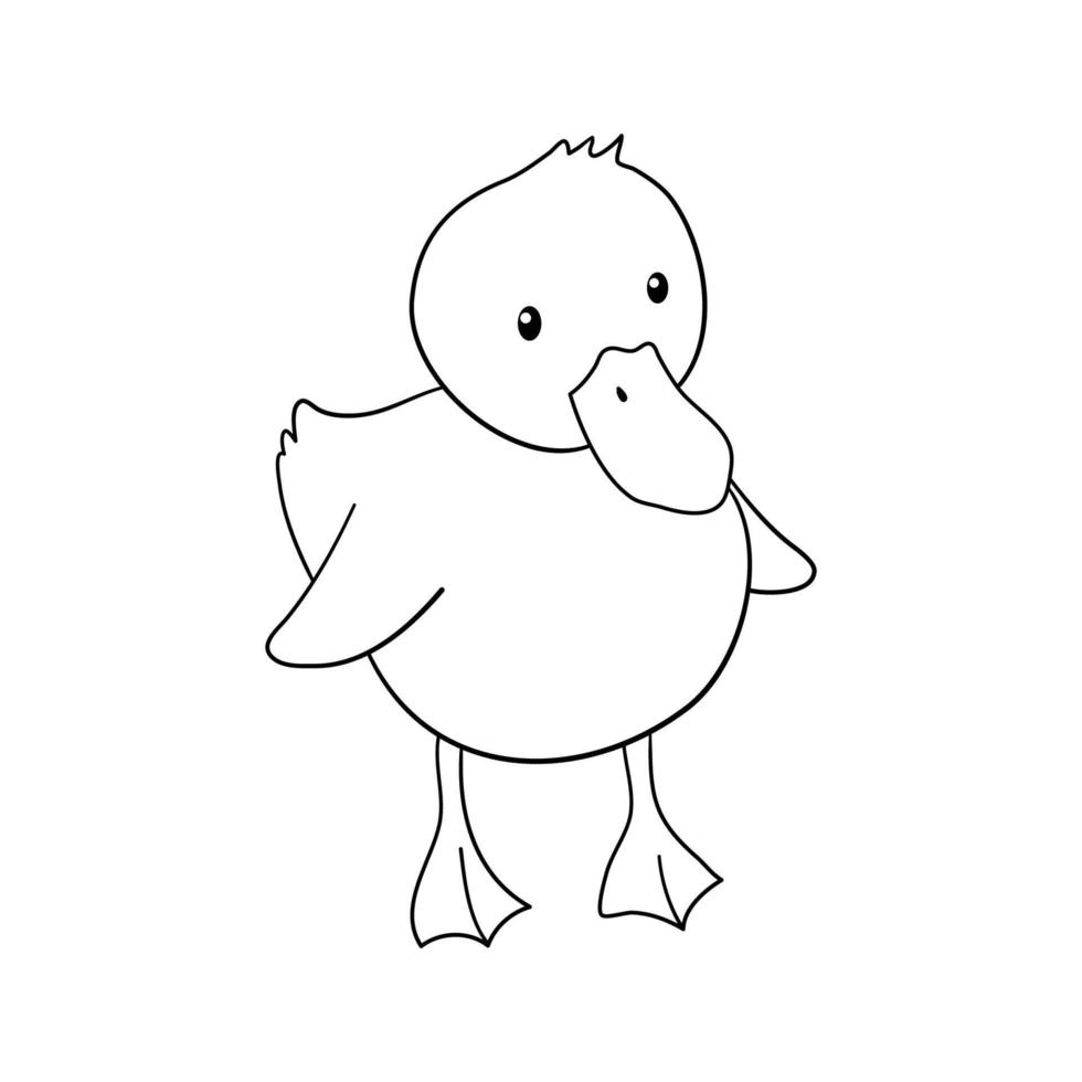 Cute outline duck. Hand drawn illustration isolated on white background. Funny Farm animal for coloring book vector