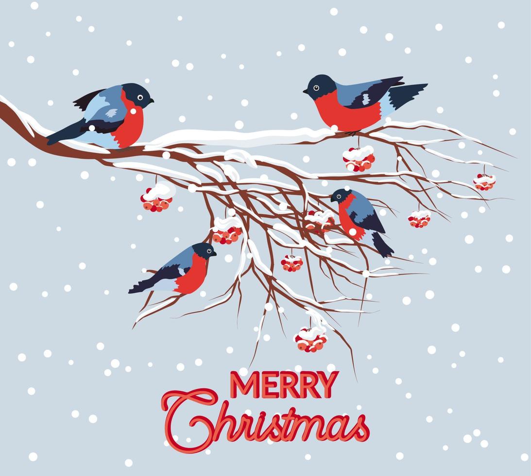 Bullfinch sitting on snow-covered branch of mountain ash. Christmas and New Year design greeting cards vector
