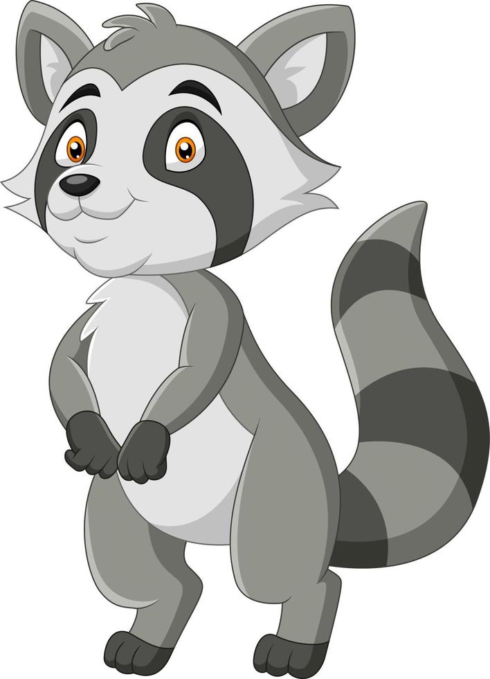 Cartoon funny raccoon a smile vector