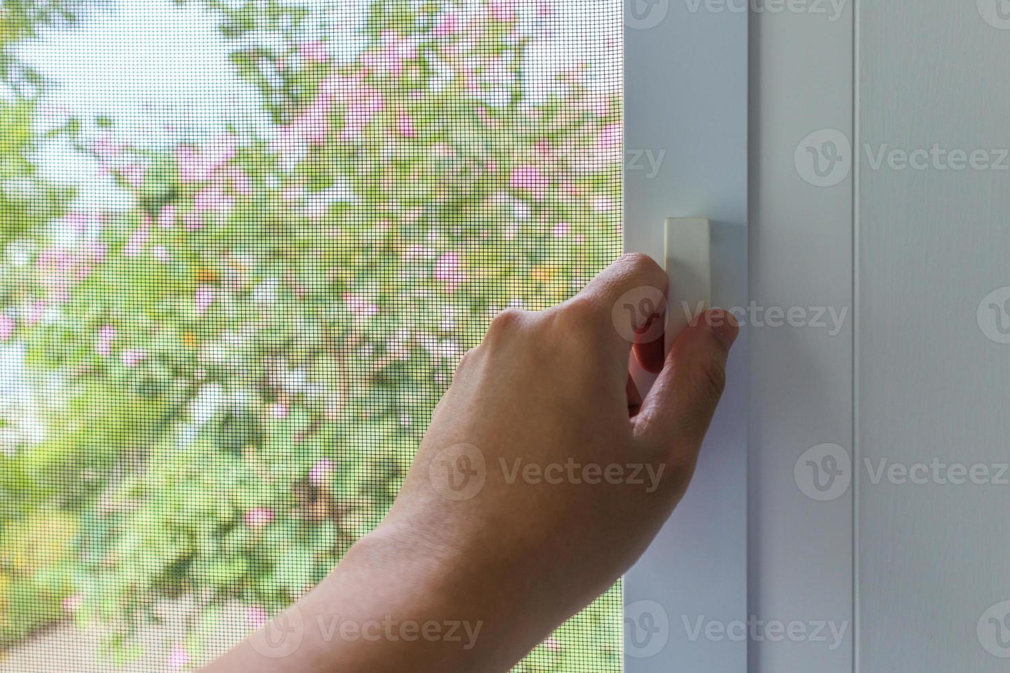 Hand hold mosquito net wire screen handle on house window photo